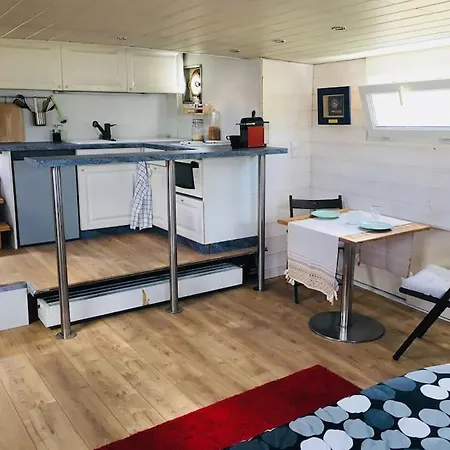 Captain's Cabin: Cosy Flat On A House Boat 斯特拉斯堡